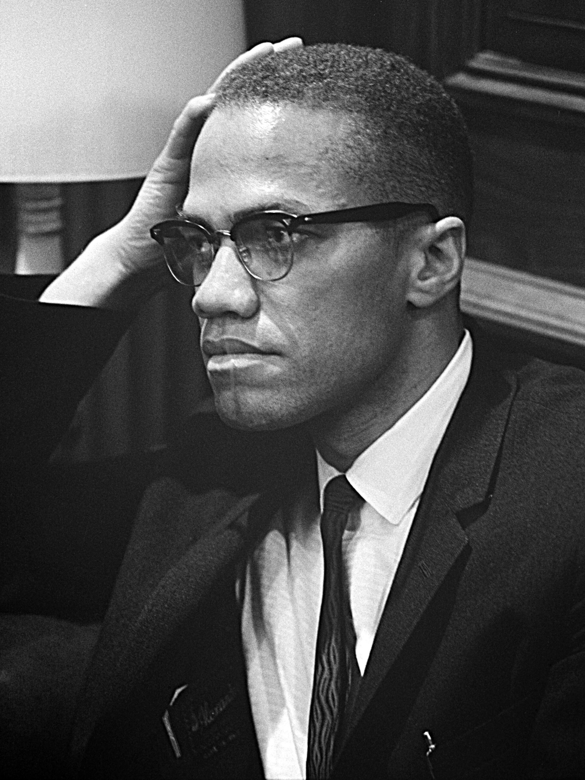 skynetblog.de - Malcolm X