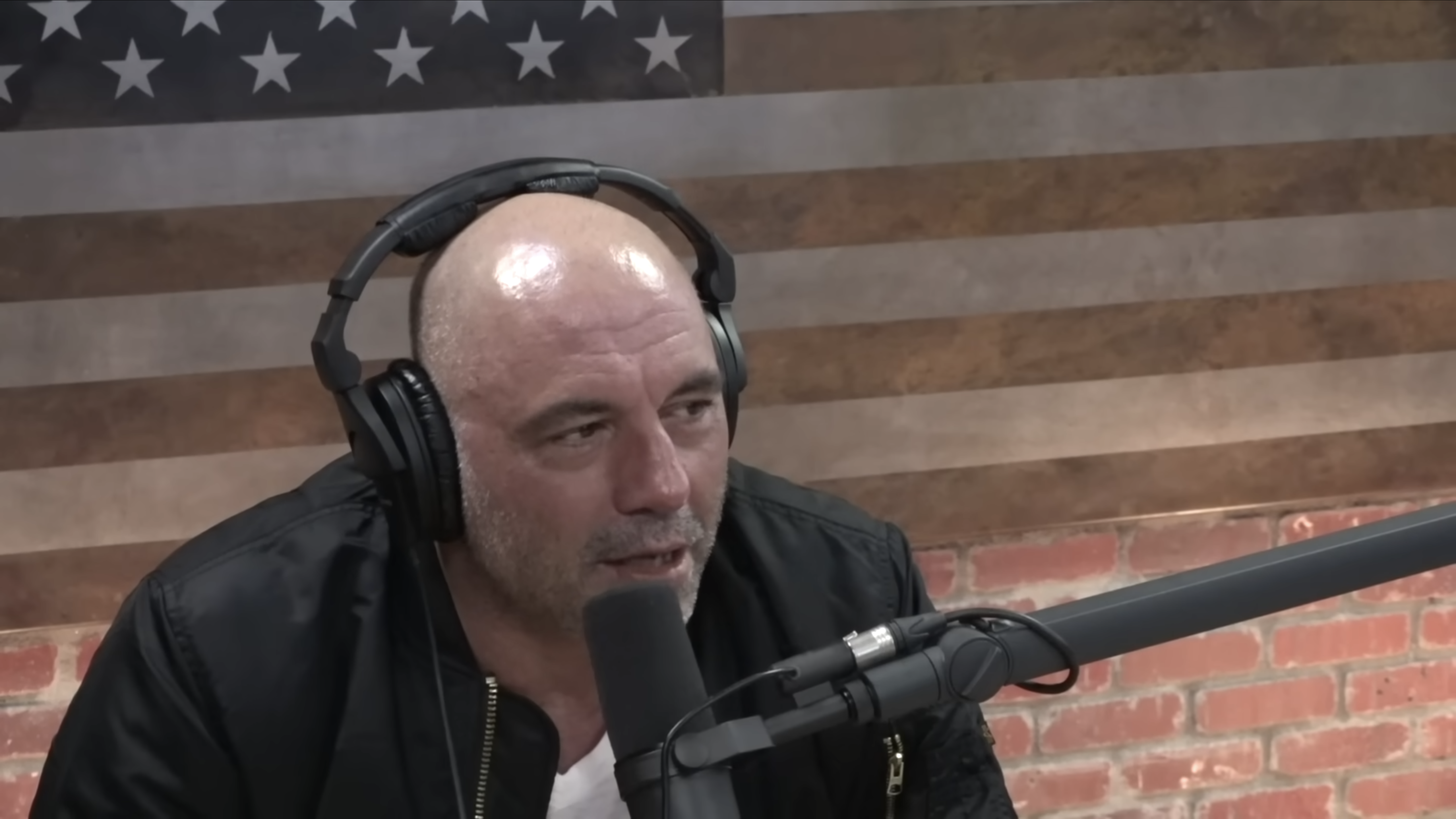 skynetblog.de - Joe Rogan